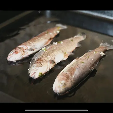 Ejde Siljkovaca Ferienhaus Velika Kladusa